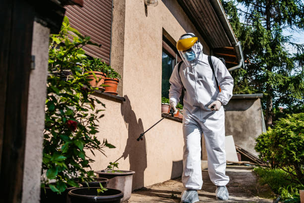 Best Cockroach Control Services  in Luck, WI