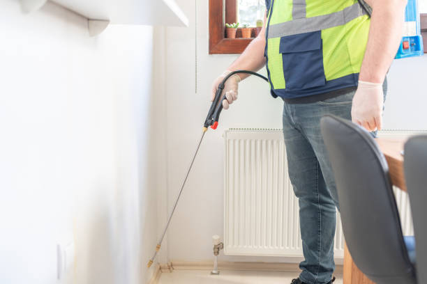 Best Ant Control Services  in Luck, WI