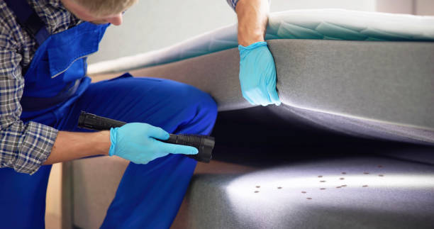 Best Pest Control for Homes  in Luck, WI