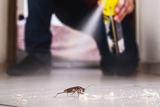 Best Bed Bug Extermination  in Luck, WI