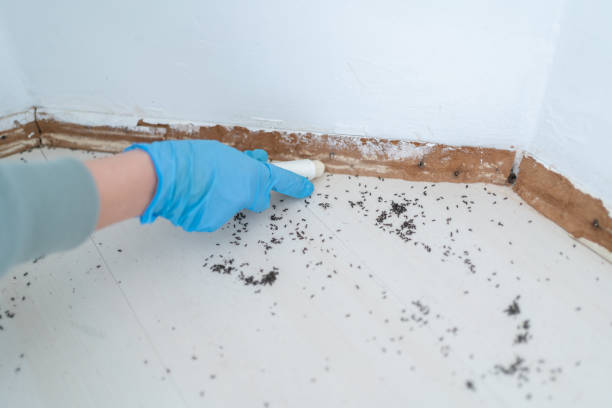 Best Exterminator Services  in Luck, WI